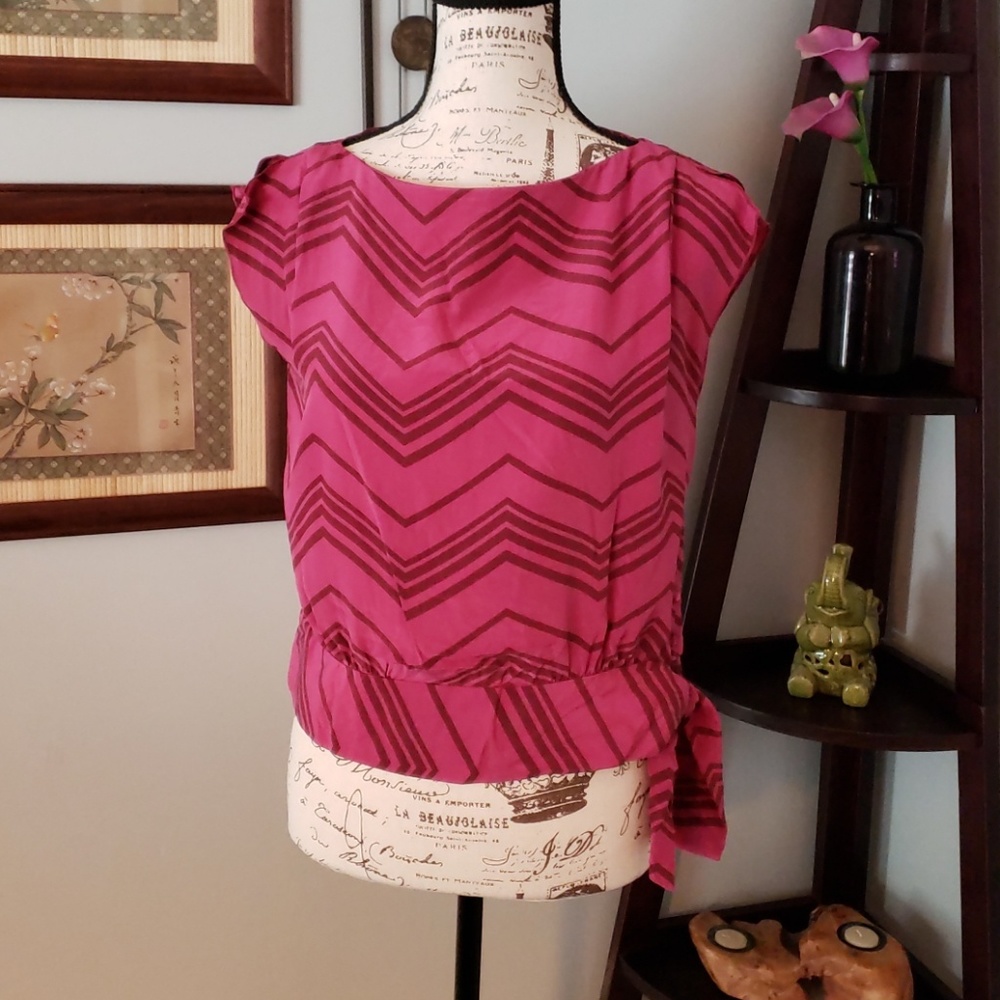 Gap Blouse 100% Silk M